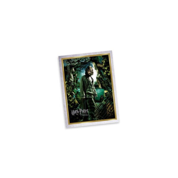 PREVENTA ALBUM HARRY POTTER, PAQUETON (50 SOBRES) - Imagen 4